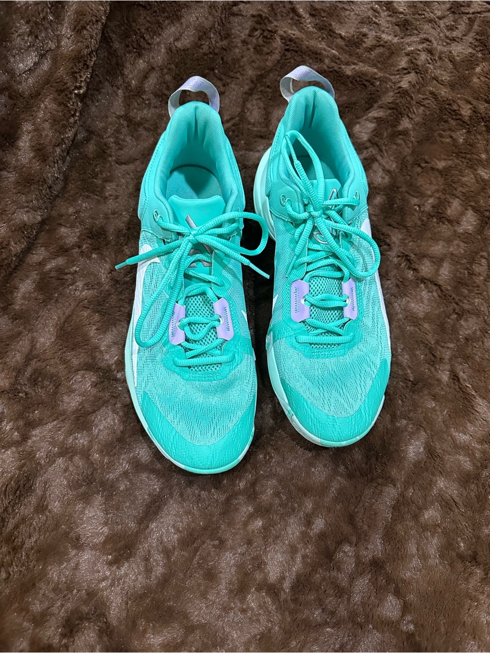 Nike Giannis Immortality 2 Mint Purple Sneakers